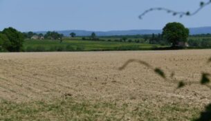 Pierre de légende détruite de Montigny sur Canne
