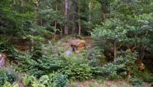 La roche des Loups