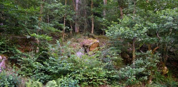 La roche des Loups