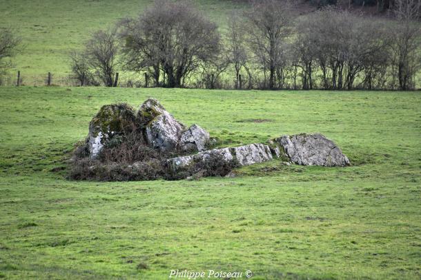 Pierre du Moulin des Gouttes