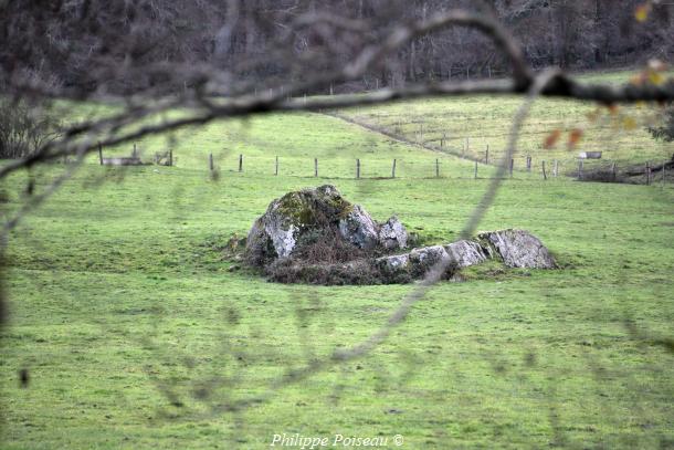 Pierre du Moulin des Gouttes