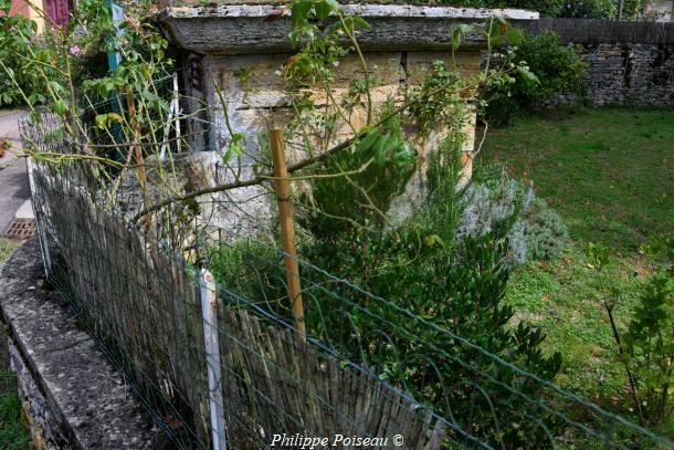 La Source de "La Roche" 