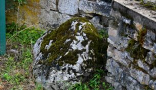 La Source de "La Roche"