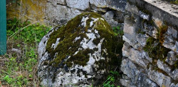 La Source de "La Roche"