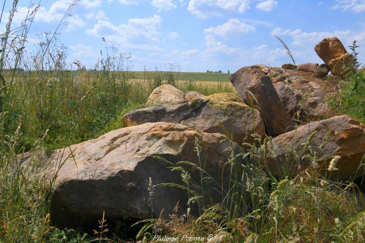 Ces pierres des champs