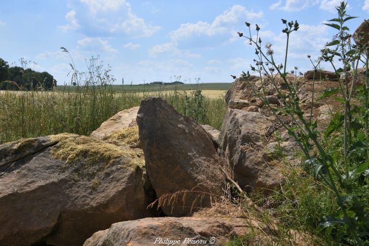 Ces pierres des champs