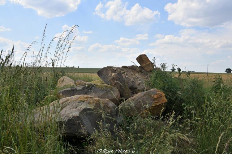 Ces pierres des champs