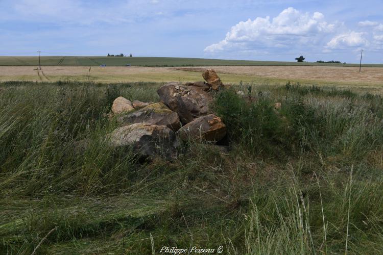 Ces pierres des champs