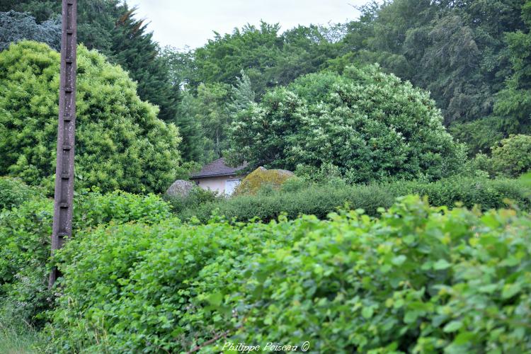 Les pierres de Bernuchot un patrimoine