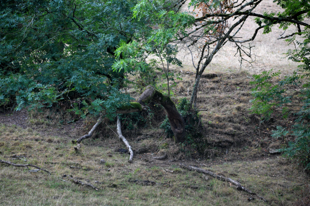 Les "Pierres de Franvache" un beau patrimoine