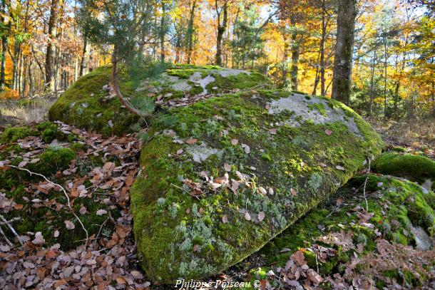 Pierres de "La Pature Lazare"