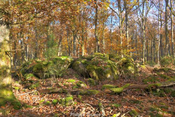 Pierres de "La Pature Lazare"