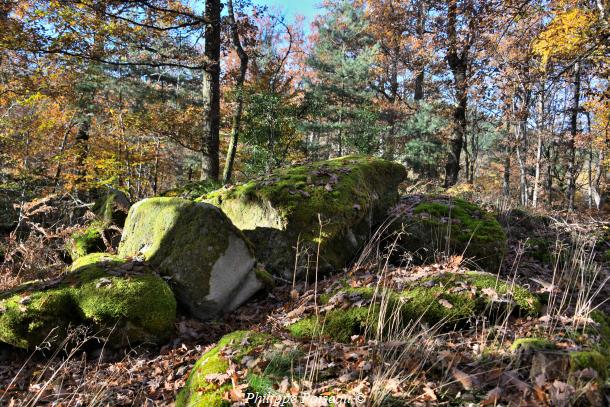 Pierres de "La Pature Lazare"