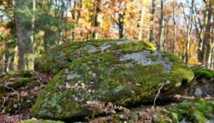 Pierres de "La Pature Lazare"