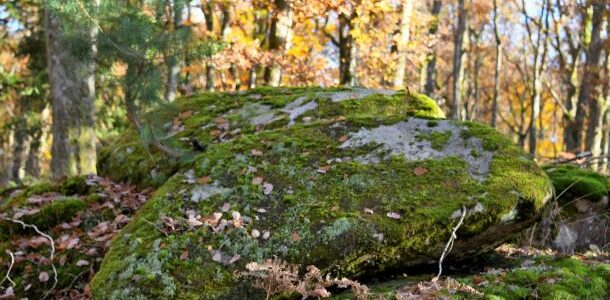 Pierres de "La Pature Lazare"
