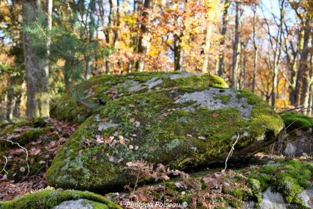 Pierres de "La Pature Lazare"