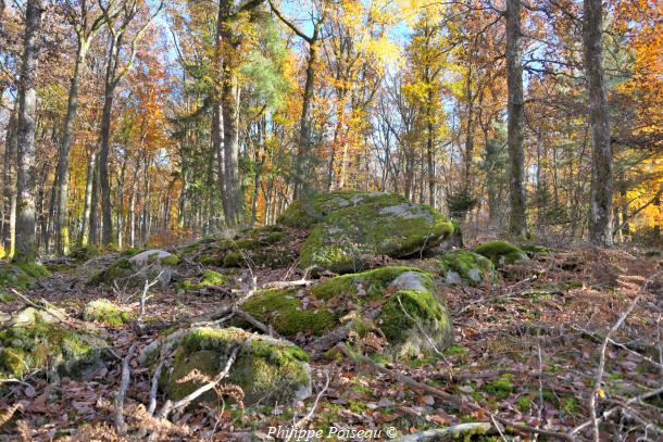 Pierres de "La Pature Lazare"