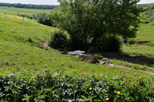 Pierres de Montigny sur Canne