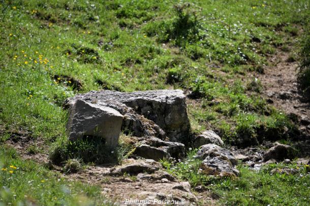 Pierres de Montigny sur Canne
