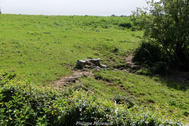 Pierres de Montigny sur Canne