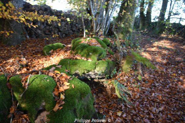 Pierres du "Bois des Montées"