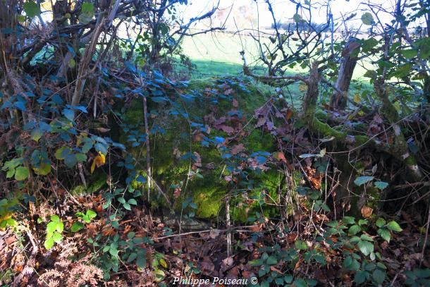 Pierres du "Bois des Montées"