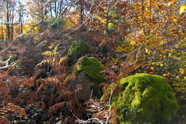 Pierres du "Bois des Montées"