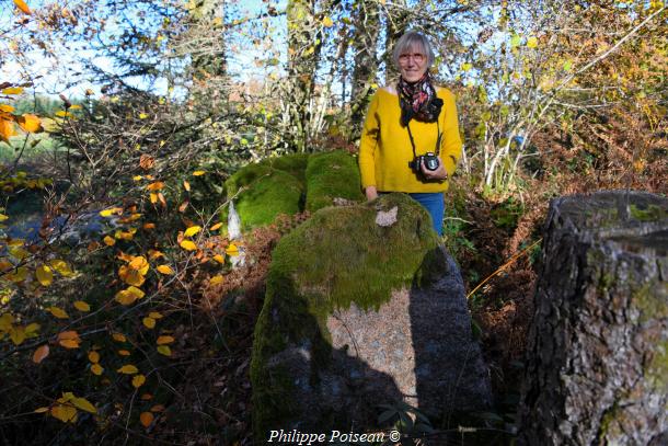 Pierres du "Bois des Montées"