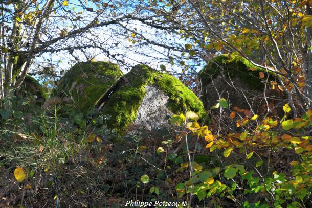 Pierres du "Bois des Montées"