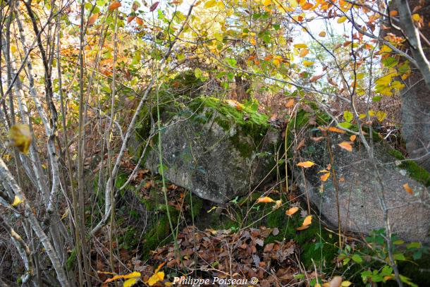 Pierres du "Bois des Montées"