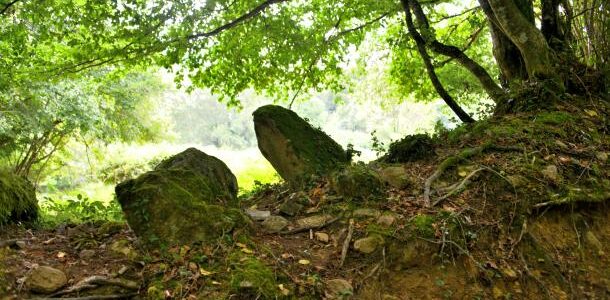 Pierres du chemin de Champeau