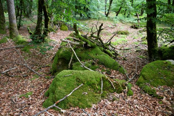 Pierres du chemin de Champeau