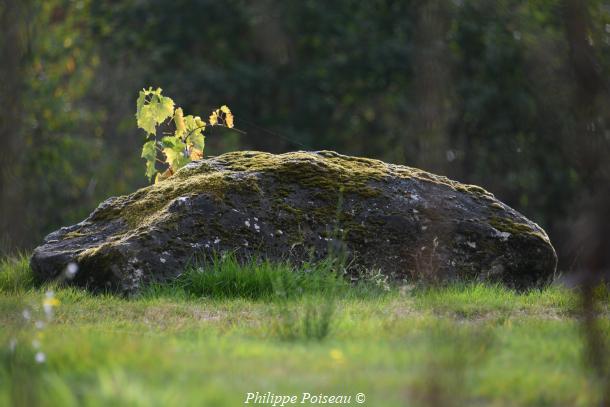 Les grands rochers de La Boutrille un beau patrimoine