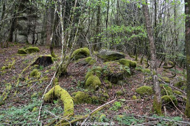 Pierres du ruisseau de "L'étang des Vernois"