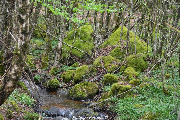 Pierres du ruisseau de "L'étang des Vernois"