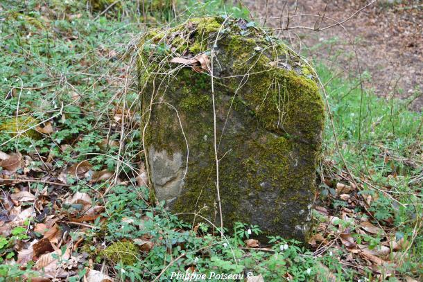 Pierres du ruisseau de "L'étang des Vernois"