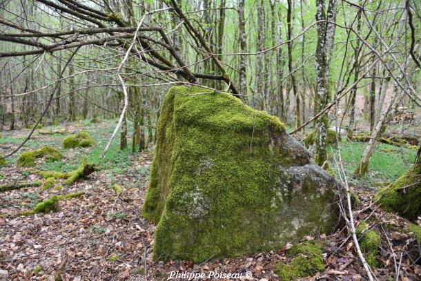 Pierres du ruisseau de "L'étang des Vernois"