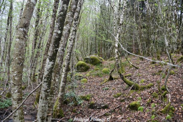 Pierres du ruisseau de "L'étang des Vernois"