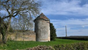 Colombier de Coulon