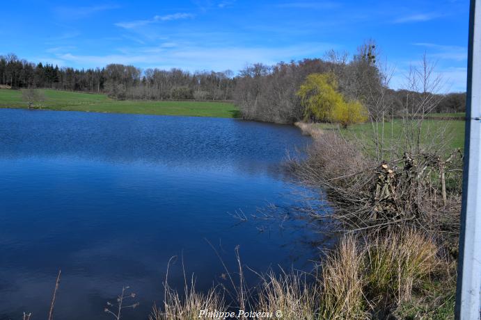 Plan d'eau de Certaines