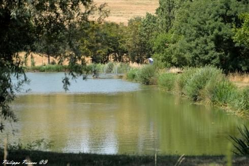 Plan d'eau de Marcy Nièvre Passion