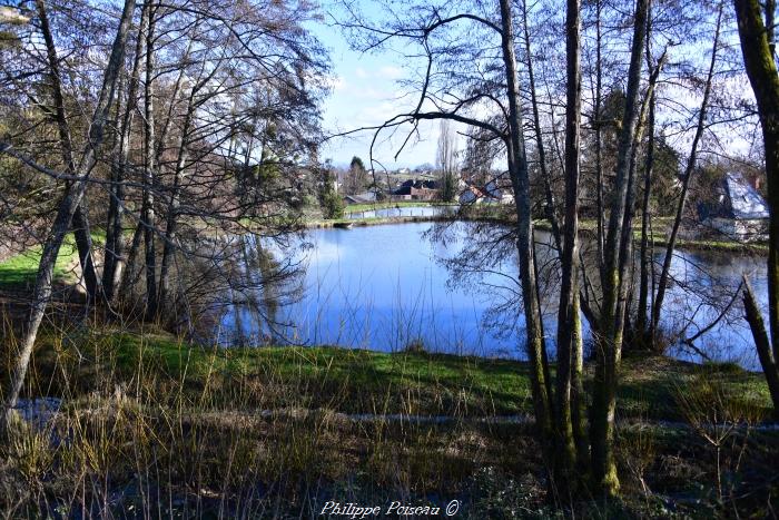 Plan d'eau de Saint-Saulge