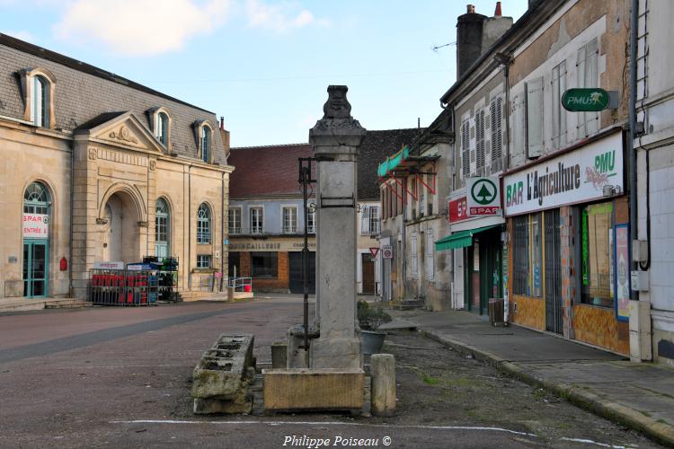 Pompe place du marché d'Entrains sur Nohain