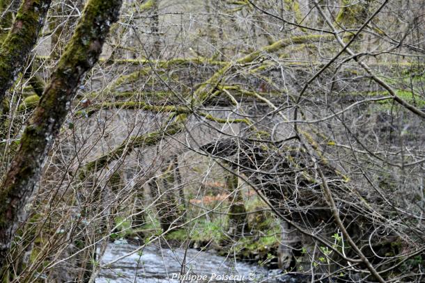 Le pont du Vieux Dun un beau patrimoine