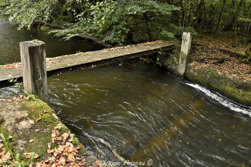 Une prise d'eau sur l'Yonne