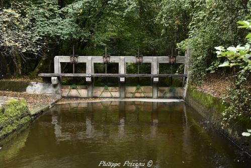 Prise d'eau sur l' Yonne Nièvre Passion