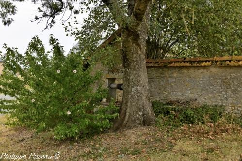 Puits d'Isenay
