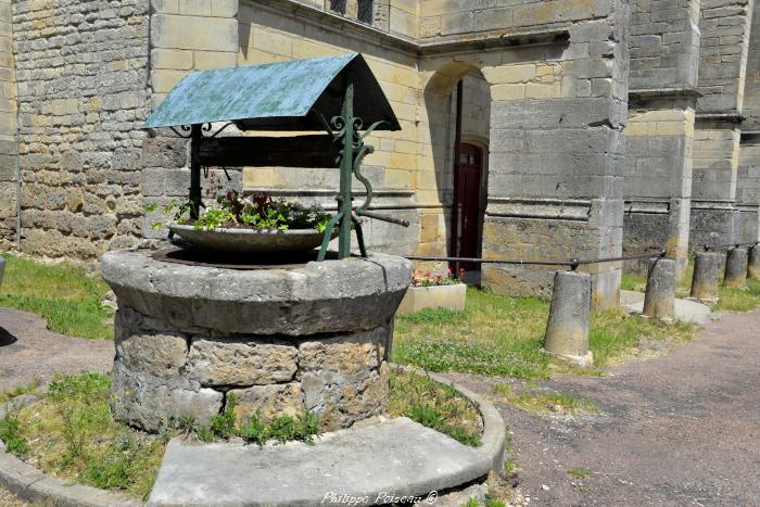 Puits de l'église de Tannay