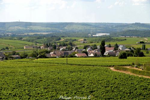 Renaissance des vignobles nivernais Nièvre Passion