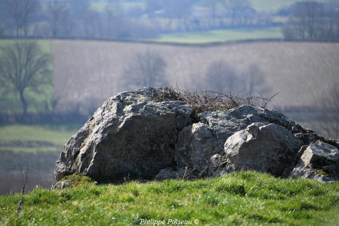 La roche de "Le Bas de la Pierre"